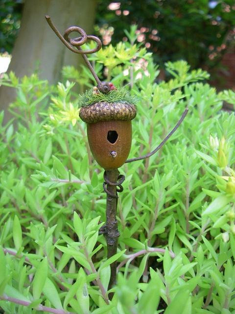 a small birdhouse in the middle of some bushes