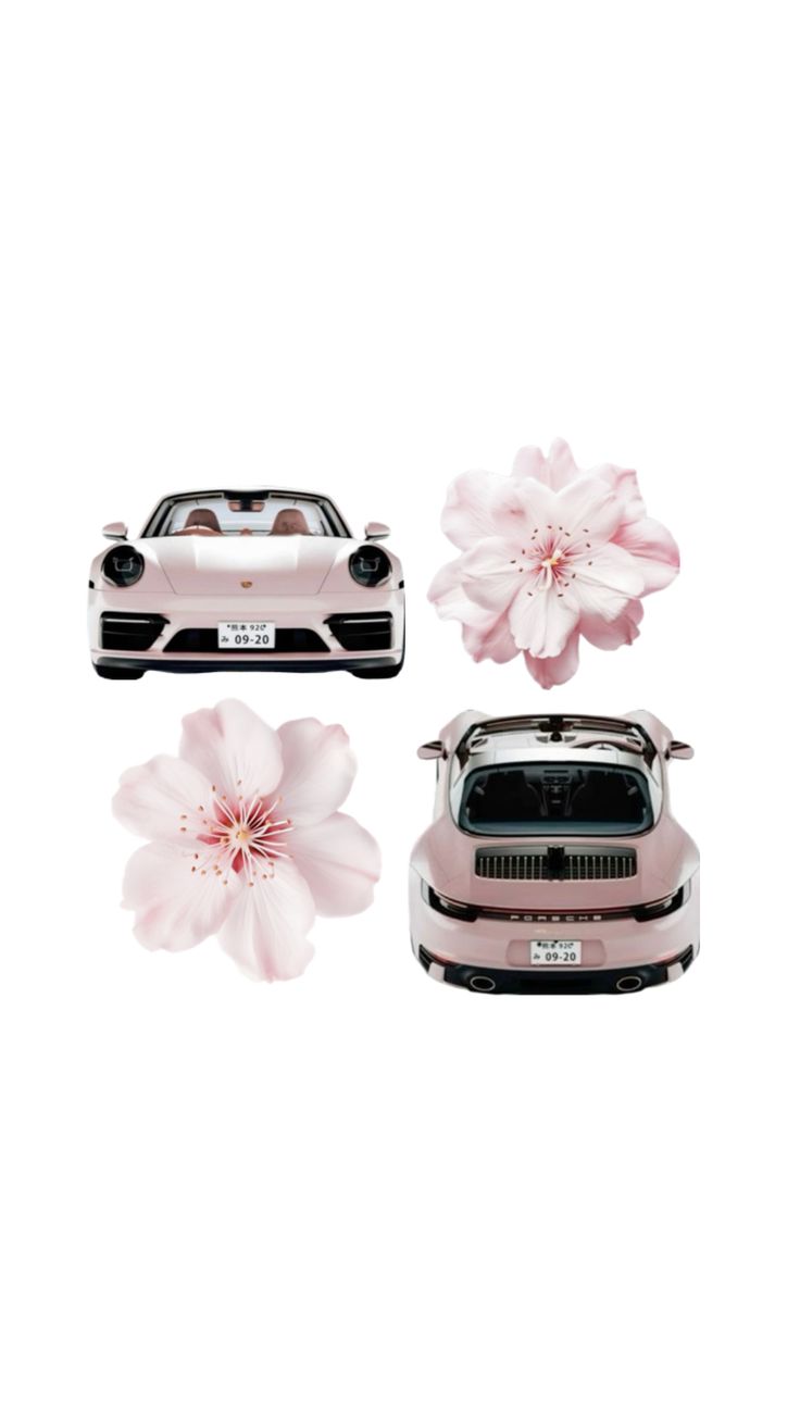 pink car and flowers on white background