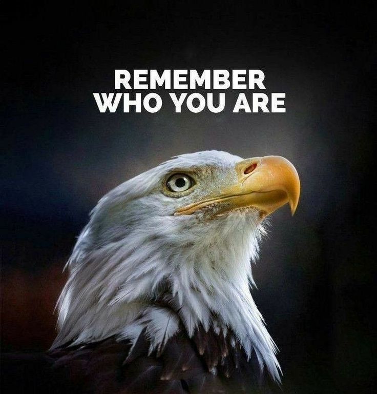 an eagle is shown with the words, remember who you are and it's image