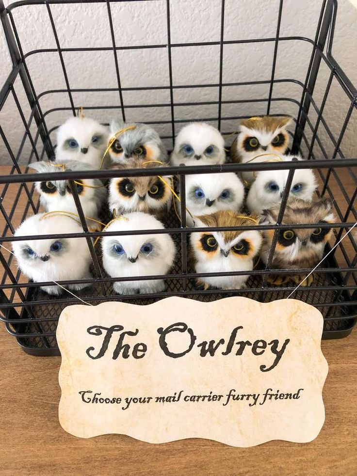 a basket filled with small stuffed owls sitting on top of a wooden table next to a sign