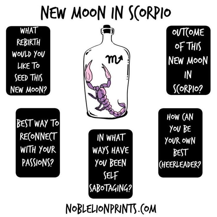 a cartoon depicting the new moon in scorpios and how to use it