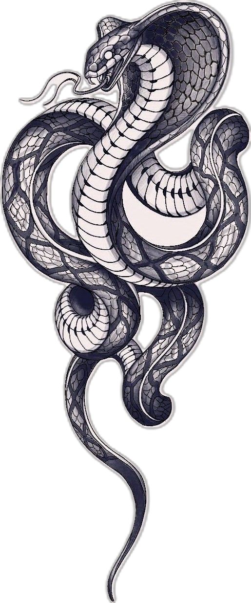 a black and white drawing of a snake