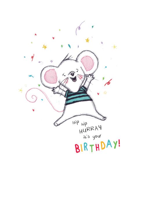 a birthday card with a cartoon mouse on it