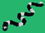 a green background with black and white striped socks on top of one leg, the other in the shape of a snake