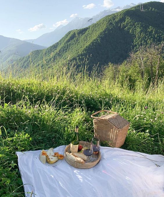 a picnic with food and wine on a blanket in the mountains