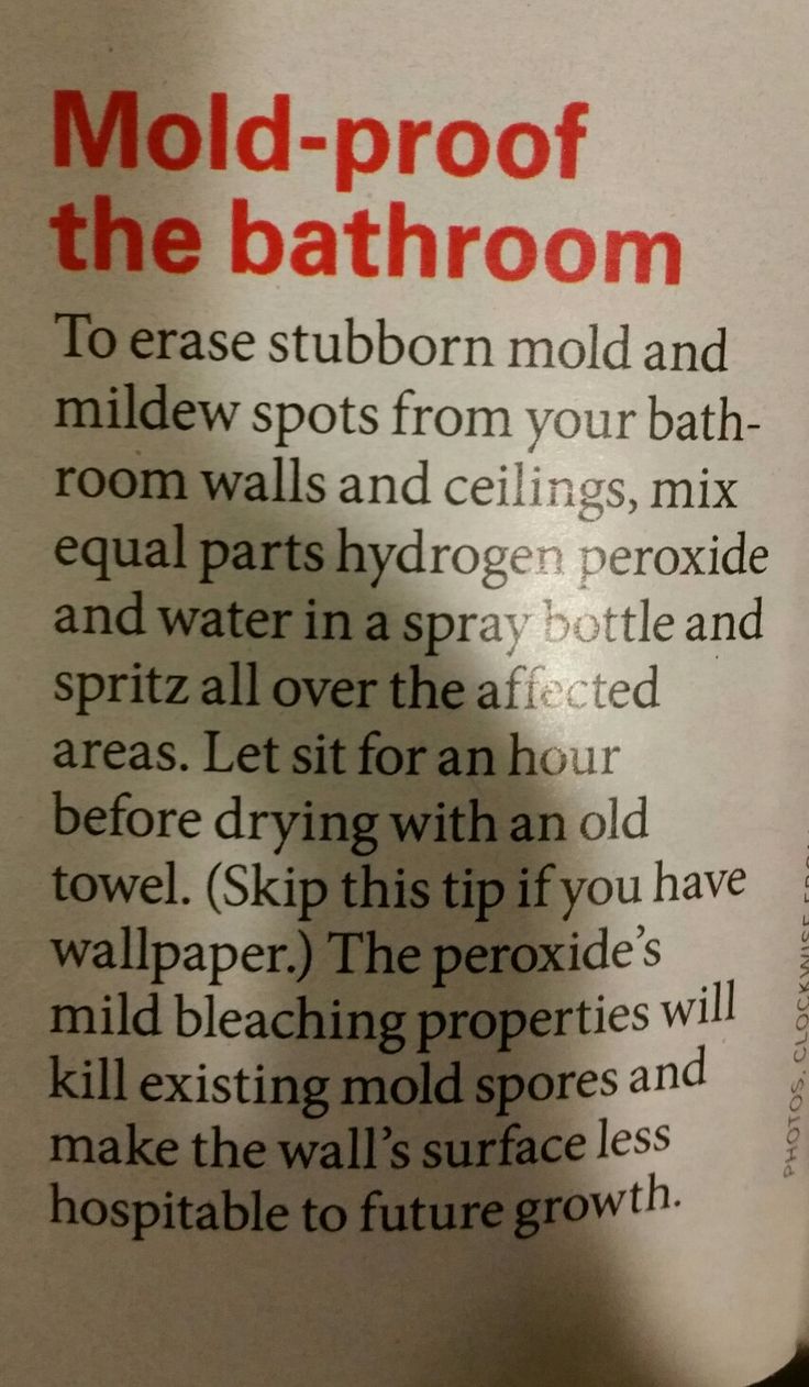 an article in a magazine about mold - proofing the bath room and how to use it