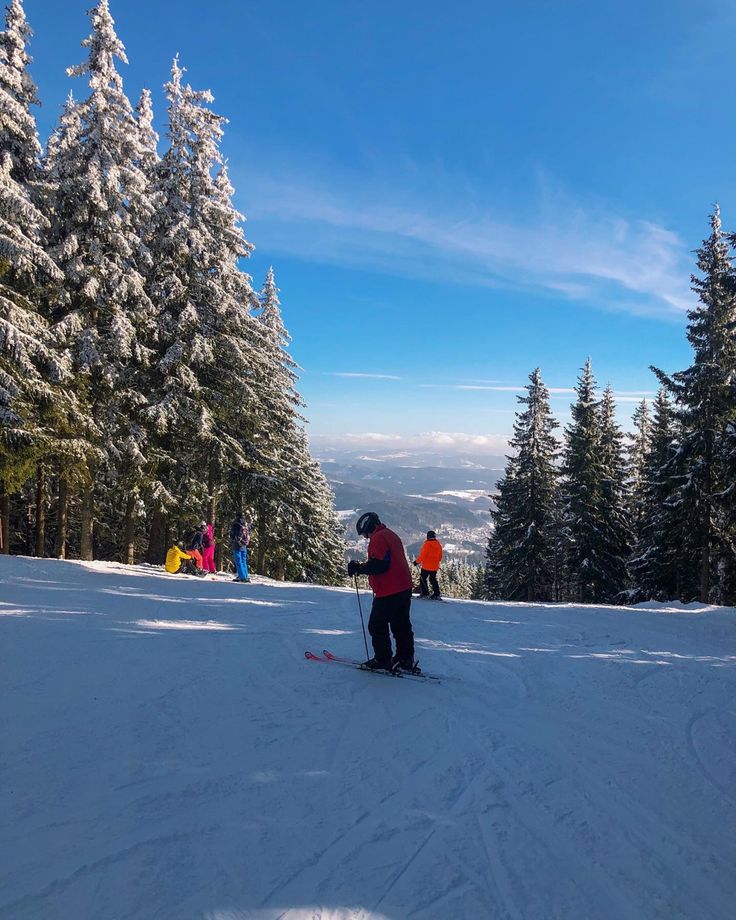 people are skiing down a snowy hill with trees in the background and blue sky above