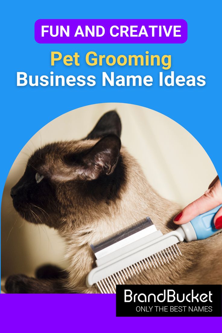 a siamese cat grooming its owner's hair with the caption fun and creative pet grooming business name ideas