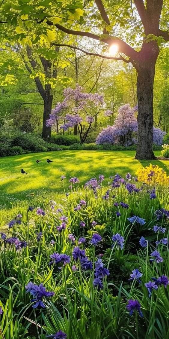 the sun shines brightly through the trees and flowers in this park area with green grass