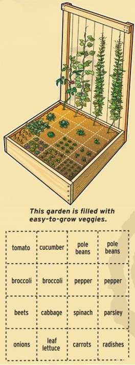 the garden is filled with easy to grow veggies