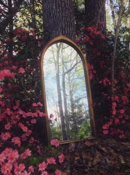 a mirror sitting in the middle of a forest filled with pink flowers next to a tree