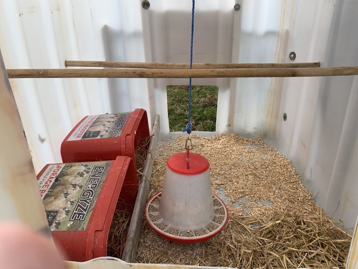 a red and white bird feeder sitting on top of hay