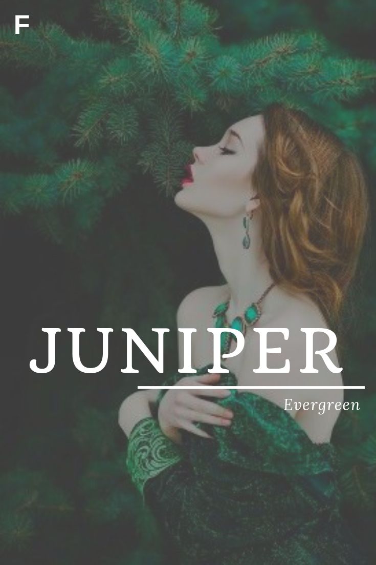 a woman with red hair and green dress standing in front of a pine tree text reads, juniper evergreen