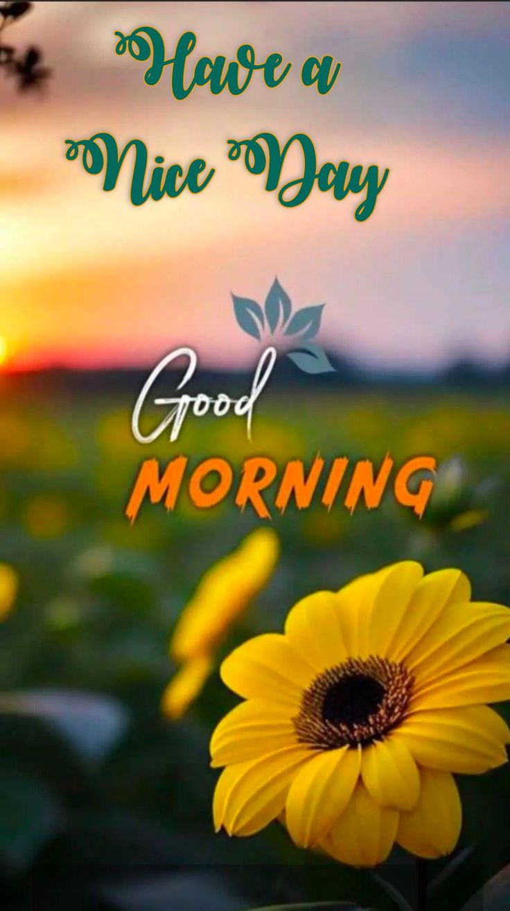 a yellow flower with the words have a nice day good morning in front of it