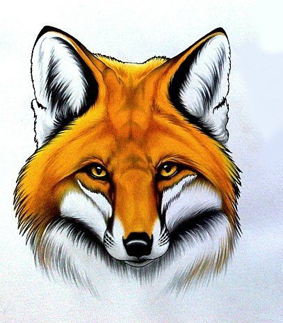 a drawing of a fox's head with yellow eyes