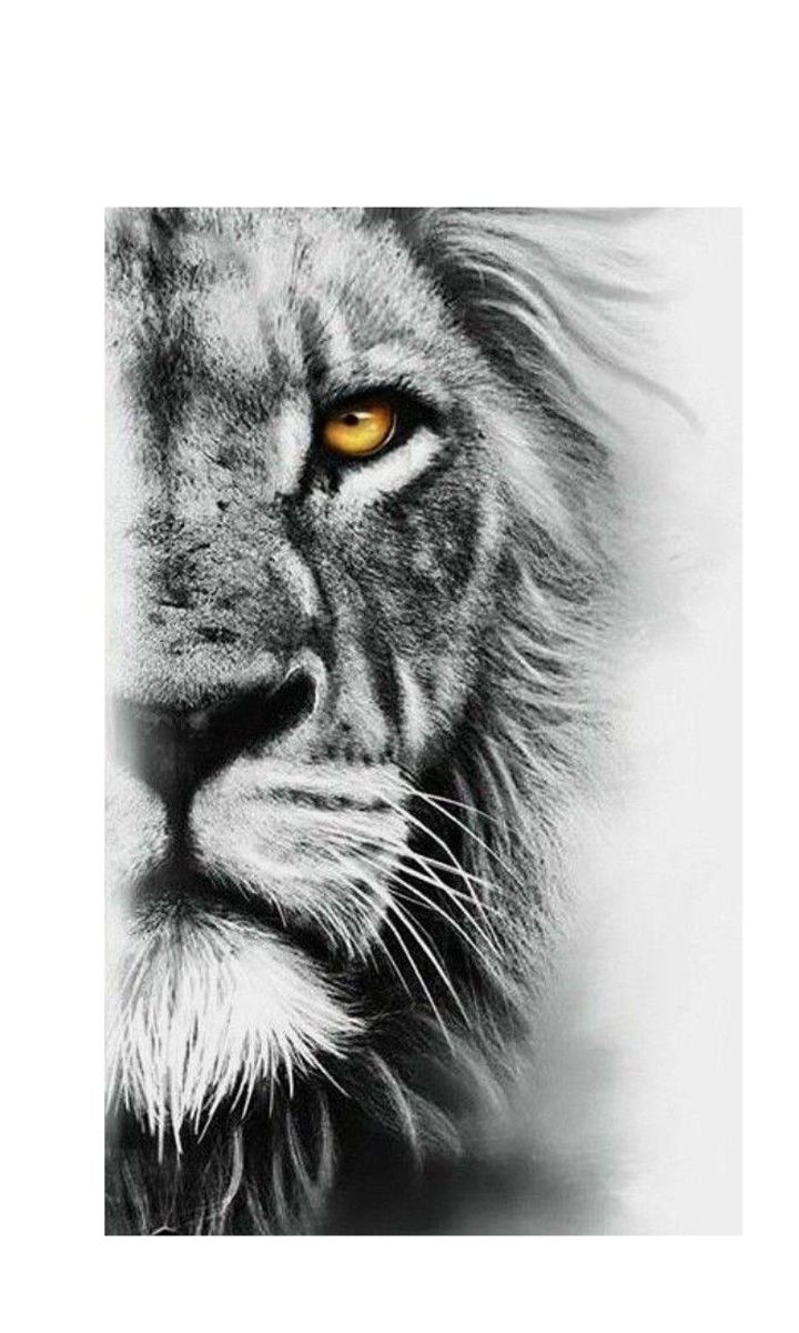 a black and white photo of a lion's face with yellow eyes framed print