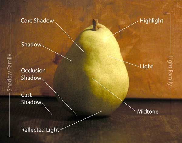 an apple labeled with the names of its parts on a wooden table in front of a brown background