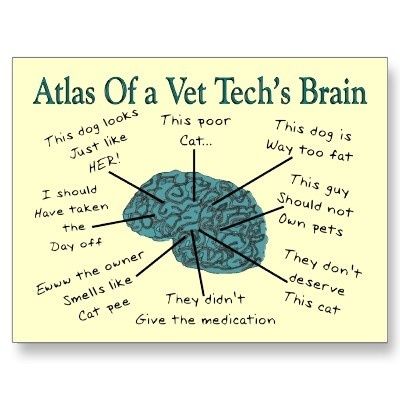 an atlas of a vet tech's brain with words in the middle and below it