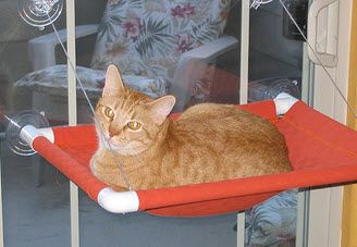 an orange tabby cat laying in a red hammock on the window sill