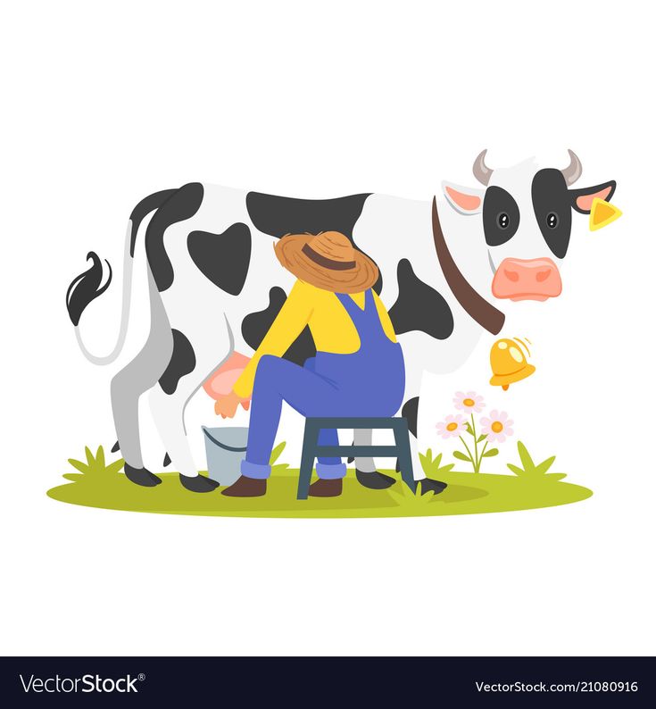 a man milking a cow with a bucket in his hand on the grass and flowers