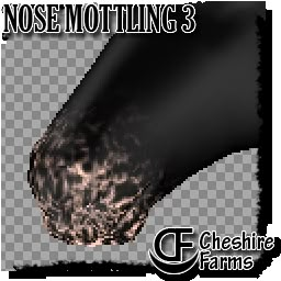 an animal is shown with the words nose molting 3