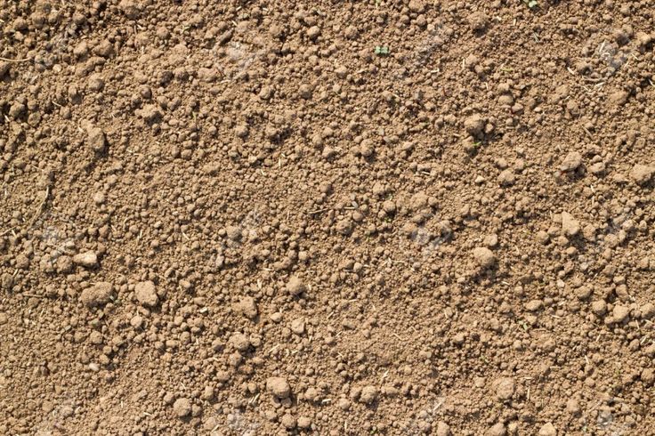 the texture of dirt is shown in this image