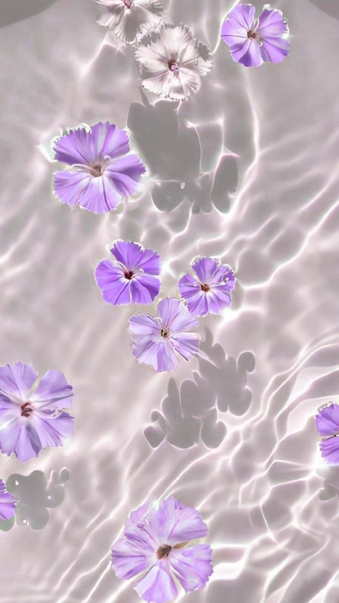 purple flowers floating in the water on a sunny day