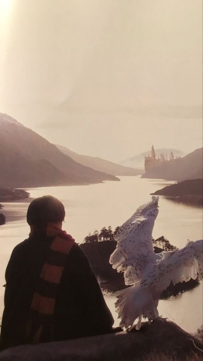 a white bird sitting on top of a rock next to a person wearing a helmet