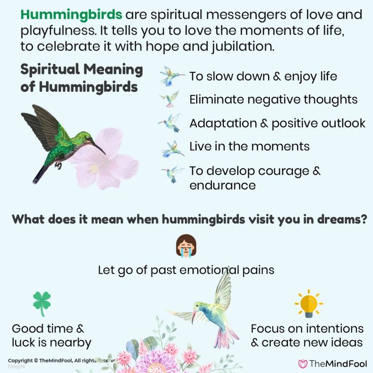 the meaning of hummingbirds and their meanings