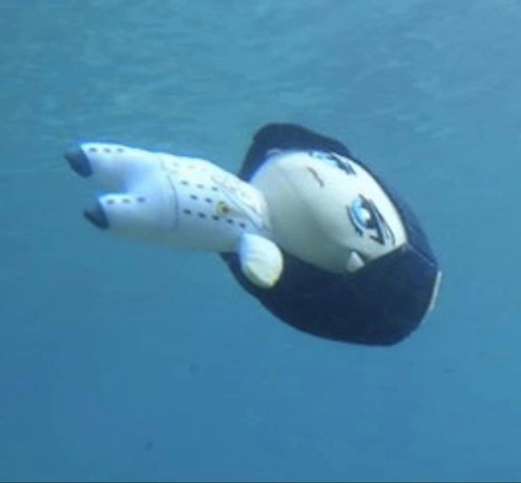 an underwater object floating in the blue water