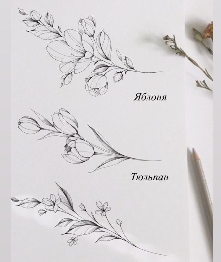 some flowers are sitting on top of a piece of paper next to a pen and pencil