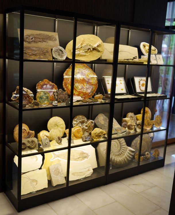 a display case filled with lots of different types of cheeses and other food items