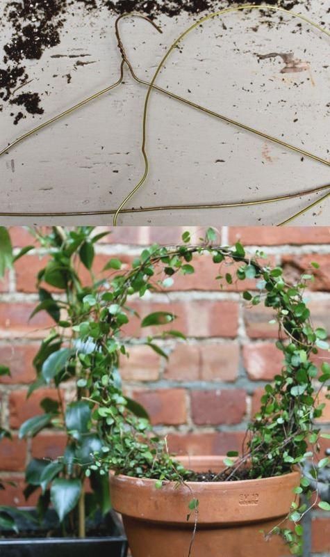 a potted plant with some plants growing out of it's bottom and top