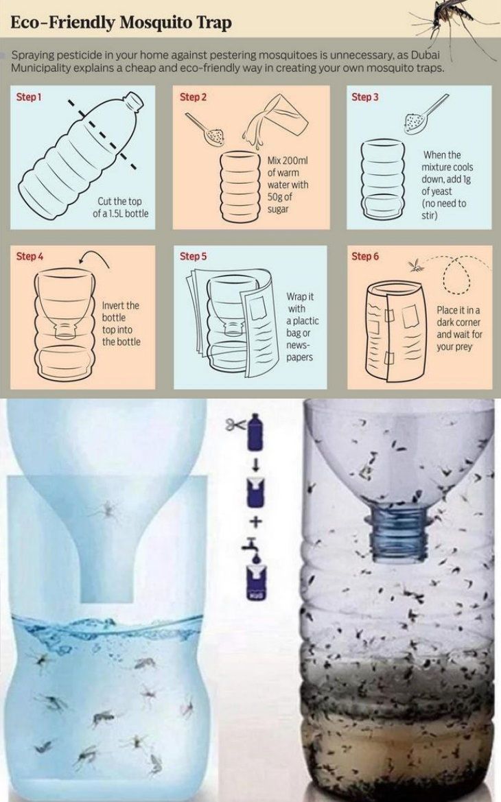 the instructions for how to use mosquito traps in water and other things that can be found inside