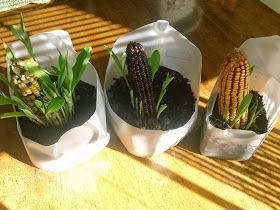 three pots with plants in them sitting on a table