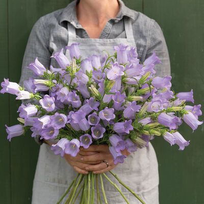 a woman holding a bouquet of purple flowers