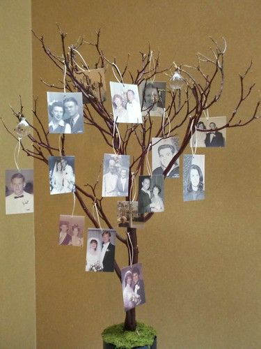 a family tree with pictures hanging from it's branches in front of a wall