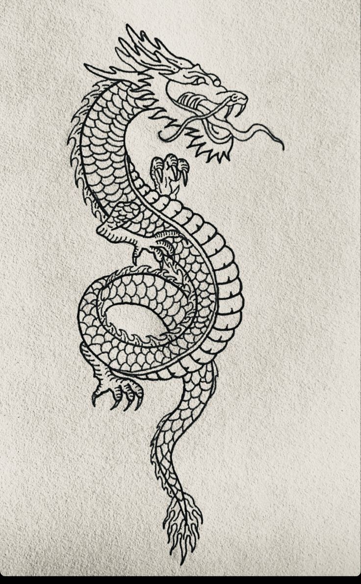 a black and white drawing of a dragon with its tail curled up in the air