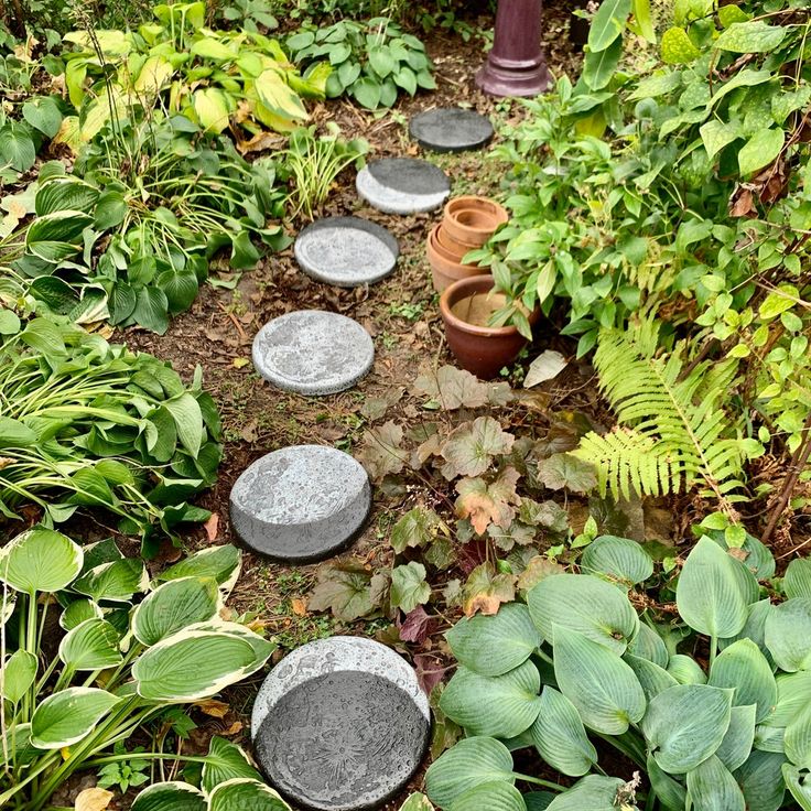 there are many plants and rocks in the ground near each other on this garden path