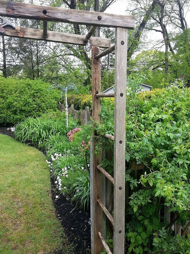 a wooden trellis in the middle of a garden