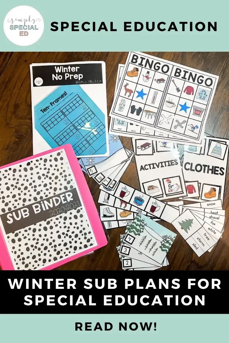 winter sub plans for special education