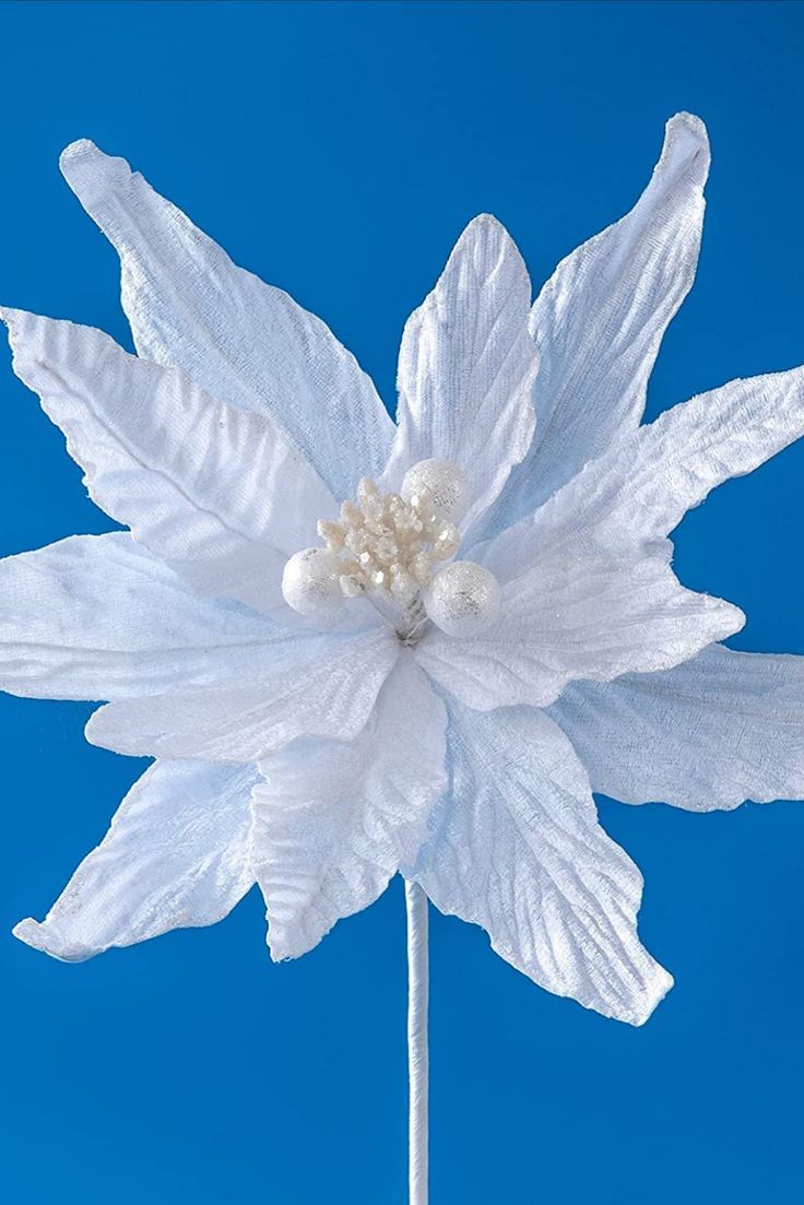 a large white flower on top of a stick