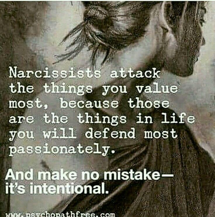 Flying Monkeys, Narcissistic People, Narcissistic Mother, Narcissistic Behavior, Drama Queens, Toxic Relationships, Narcissism, A Quote, Monkeys