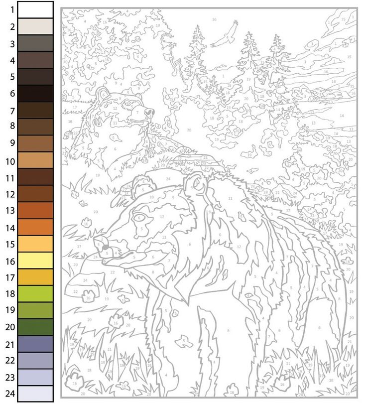 a coloring page with an image of a bear in the woods, and numbers on it