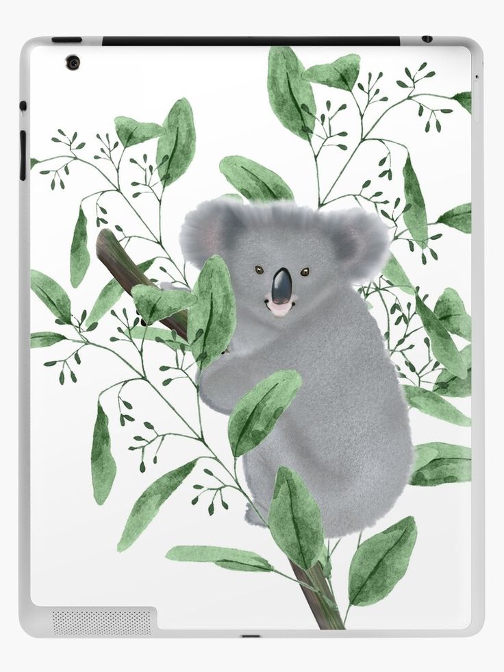 a watercolor drawing of a koala bear sitting on a tree branch with green leaves