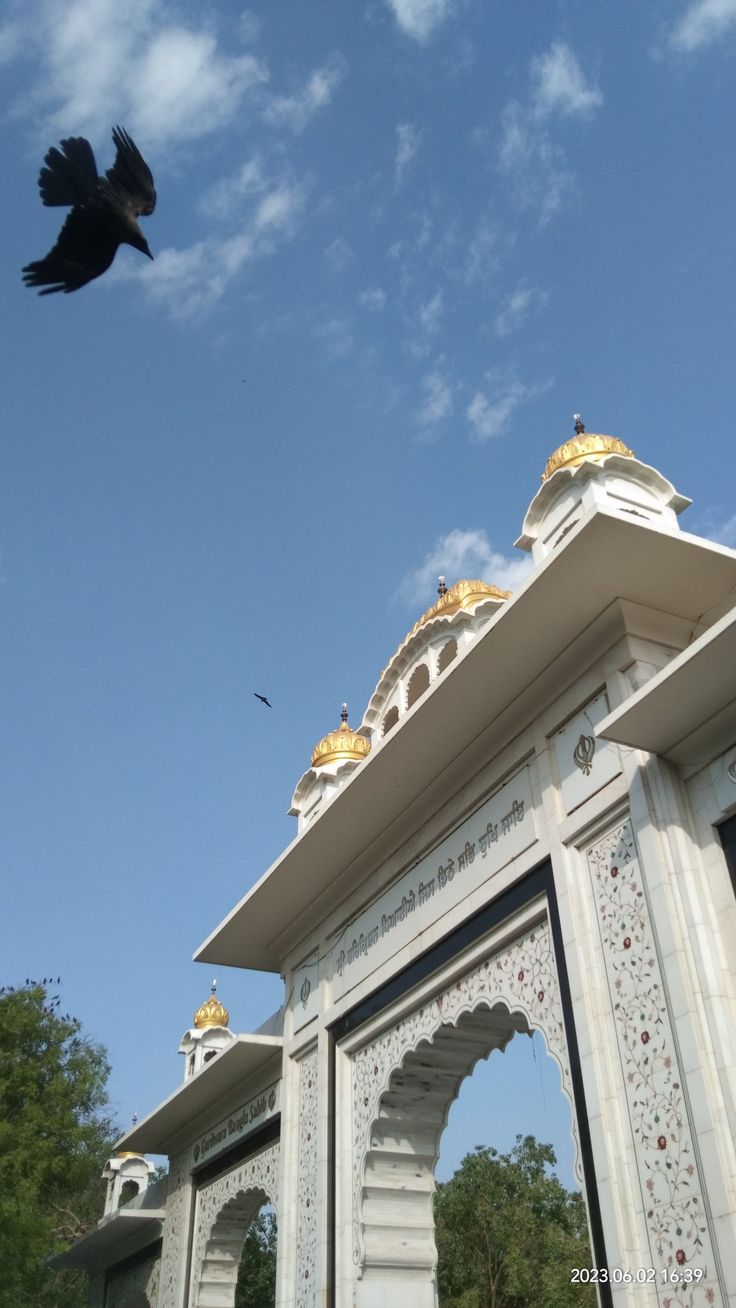 a black bird flying over a white structure with gold decorations on it's roof