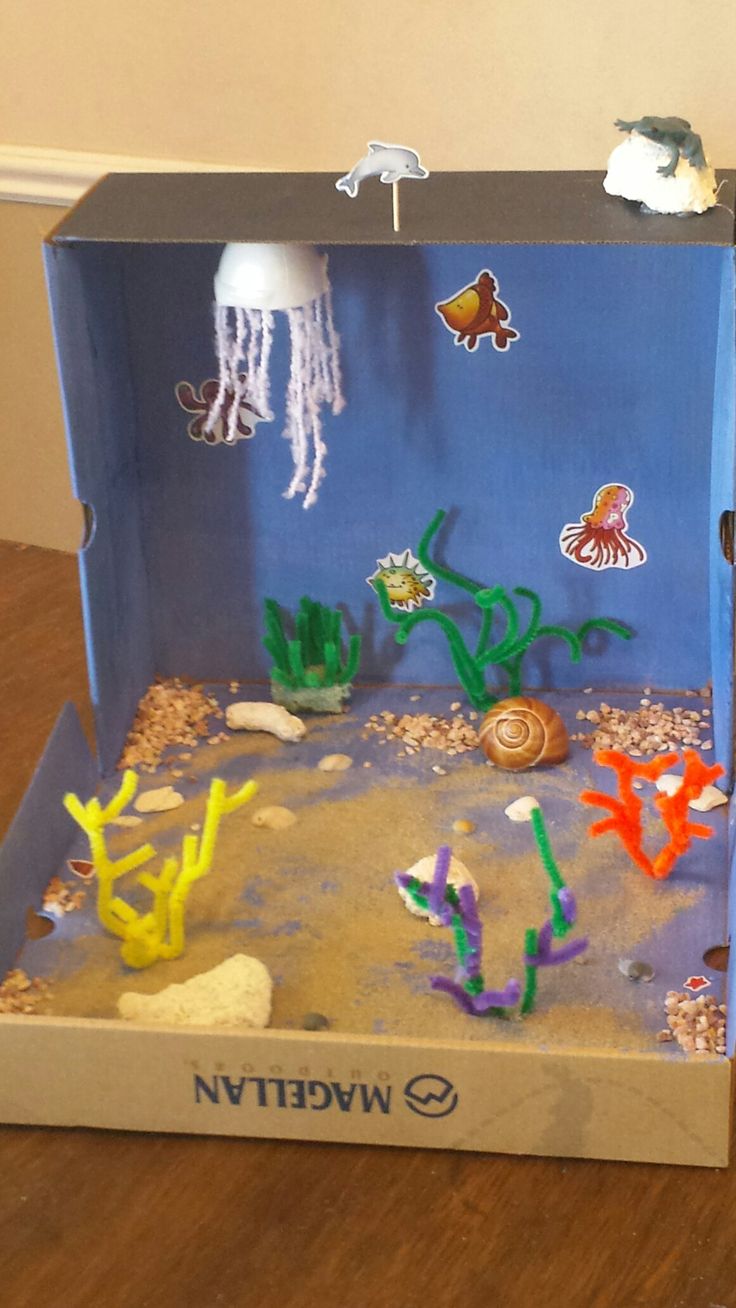 an open cardboard box with sea animals and corals in the sand inside on a wooden floor