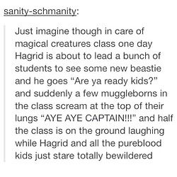 the text on the page says, just imagine though in care of magic creatures class one day