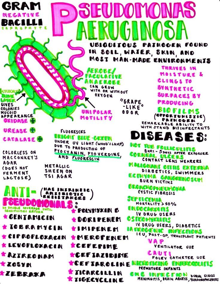 a poster with words and pictures about the various types of germs on it