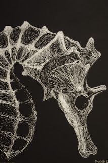 a drawing of two seahorses on a black background